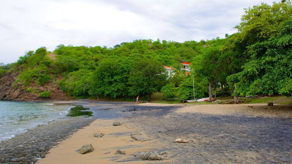 A beach with clear water, a sandy shore, and lush green trees.