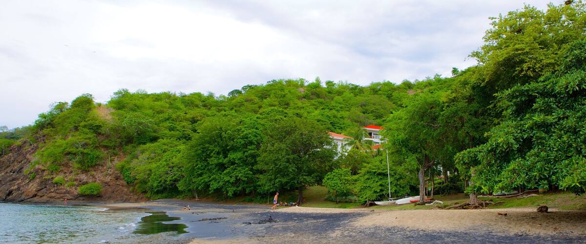 A beach with clear water, a sandy shore, and lush green trees.