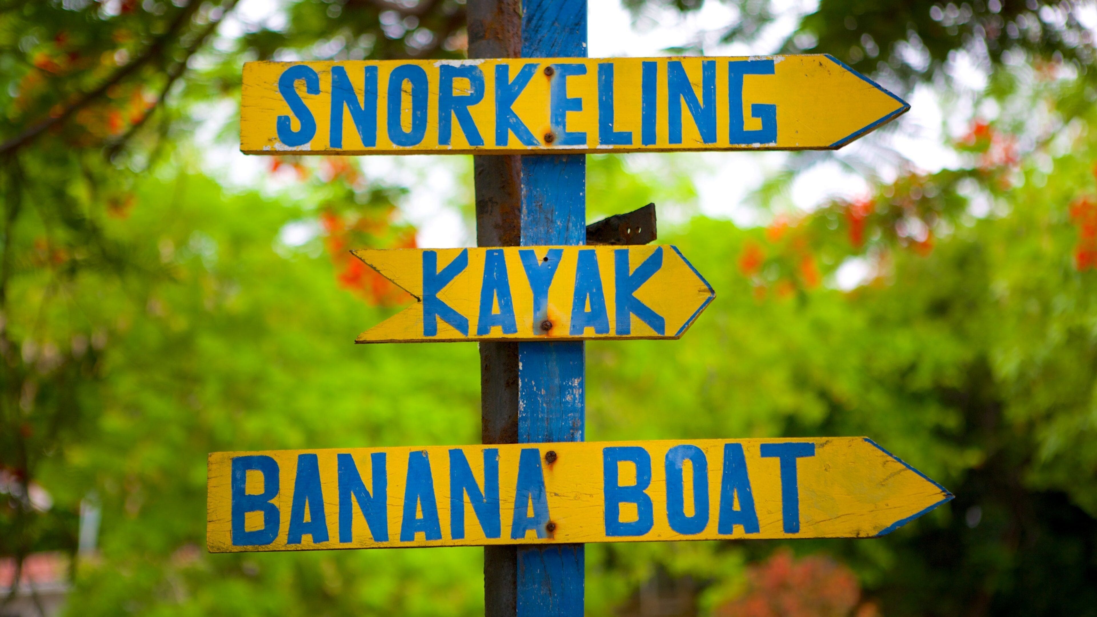 El Ocotal trong đó bao gồm biển hiệu