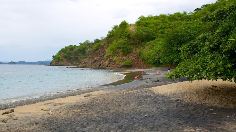 Una playa con costa rocosa, aguas tranquilas y vegetación verde exuberante.
