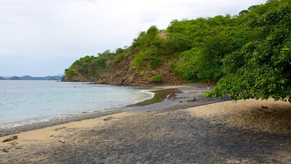 A beach with a rocky shoreline, calm water, and lush green vegetation.