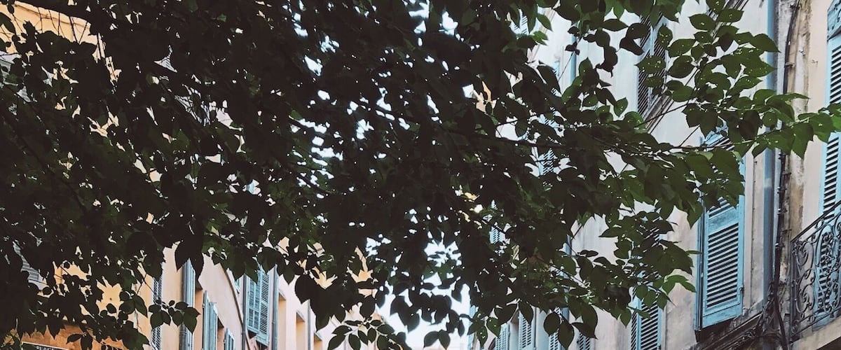 Spend a day exploring local cities in southern, rustic France.