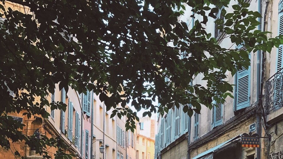 Spend a day exploring local cities in southern, rustic France.