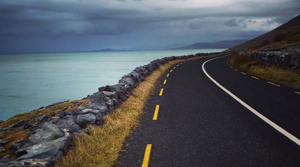 Miles and miles of dark narrow roads highlighted with blue views. Or green, yellow and grey if you're into that. In the top 10 drives of my life.
#blue