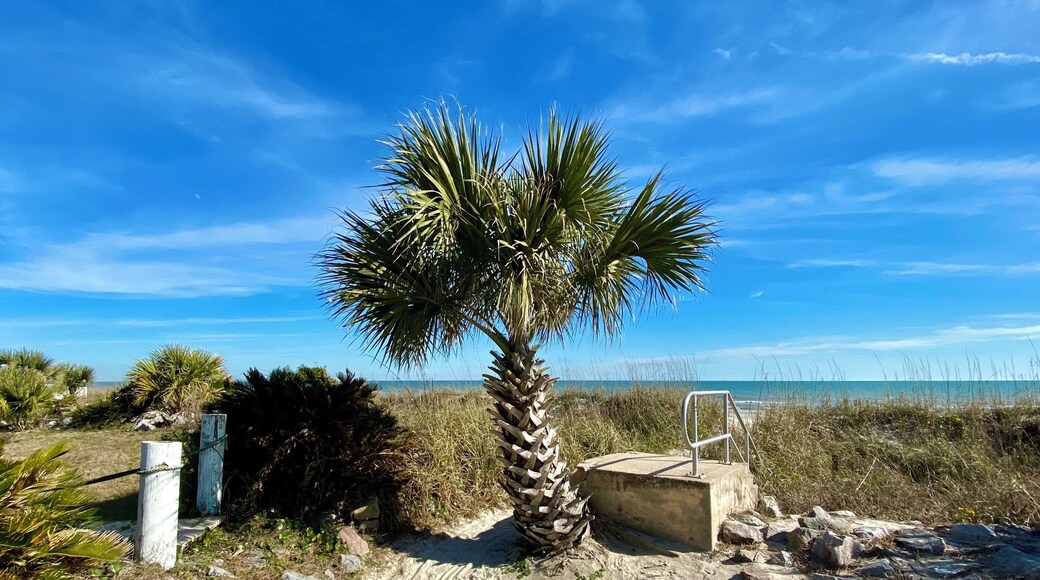 Walkway to the beach.