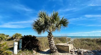 Walkway to the beach.