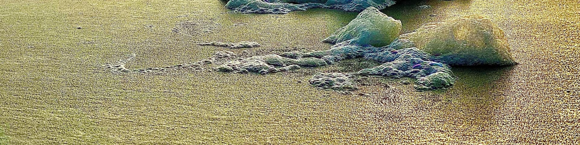 Lots of sea foam on the beach yesterday.