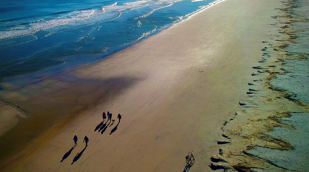 Drone photo. Sea
Pines Beach Club