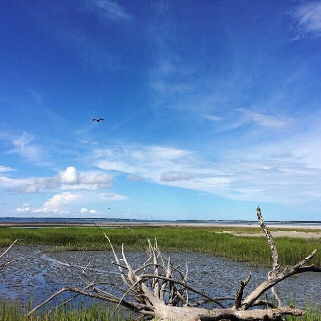 It is so peaceful out here. #beach
