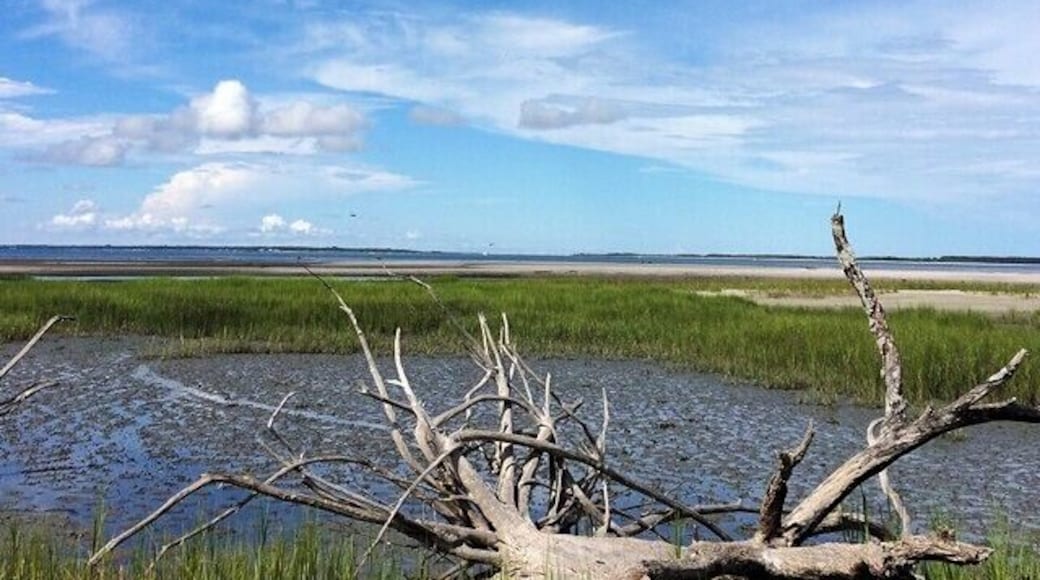 It is so peaceful out here. #beach