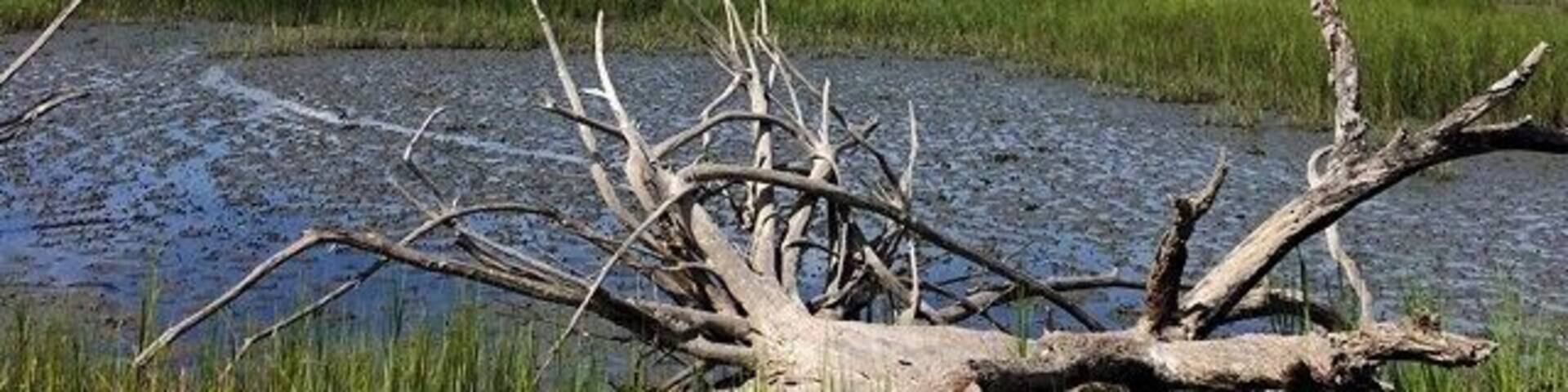 It is so peaceful out here. #beach