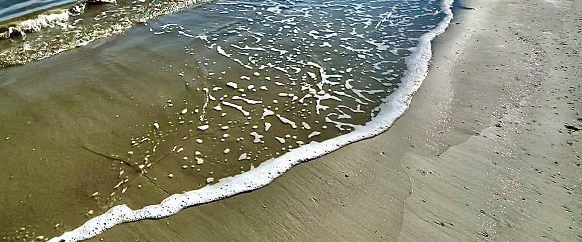 I hit the beach despite the cold and wind. Where there’s a will there’s a wave! 😎