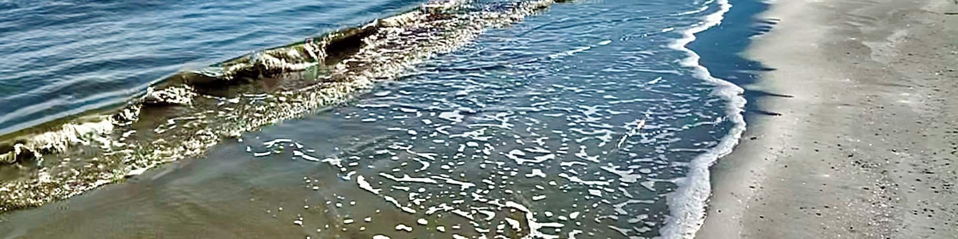 I hit the beach despite the cold and wind. Where there’s a will there’s a wave! 😎