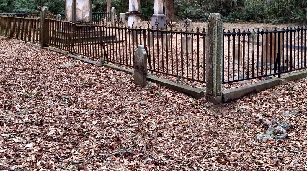 At about the same time through the influence of Captain John Stoney and Mr. Isaac Fripp another congregation was formed and a church of wood, on a brick foundation, 40 x 30 ft. was built on Hilton Head Island. Divine Service was performed alternately at each church (St. Luke's Parish Church and Zion Chapel of Ease,) and since there was no Parsonage, the Minister resided with his parishioners.
In 1833, the Rt. Rev. Nathaniel Bowen, Third Bishop of South Carolina, consecrated Zion Chapel, it having been, the record cryptically says, "thrown out of use as to the worship for which it had been originally erected, but now happily recovered." Diocesan records show that Divine Services were regularly held in Zion Church until November 1861 when invasion of the Island by federal armed forces necessitated the flight of the island's white population. When the Rev. Dr. James Stoney (1820-1870), a great grandson of Captain John Stoney, builder of Zion Chapel, was able to return to his rectorship of the Church in the Cross in Bluffton in 1867, his 1868 report says that Zion Chapel, having been built of wood, had entirely disappeared, it's Eucharistic silver and all it's furnishings, altar, prayer desks, pulpit, pews were stolen.
Worst of all for Zion Chapel was the fact that all of its members were dispersed, dispossessed of their homes and property, never to return to Hilton Head Island again. Today, only the cemetery remains.