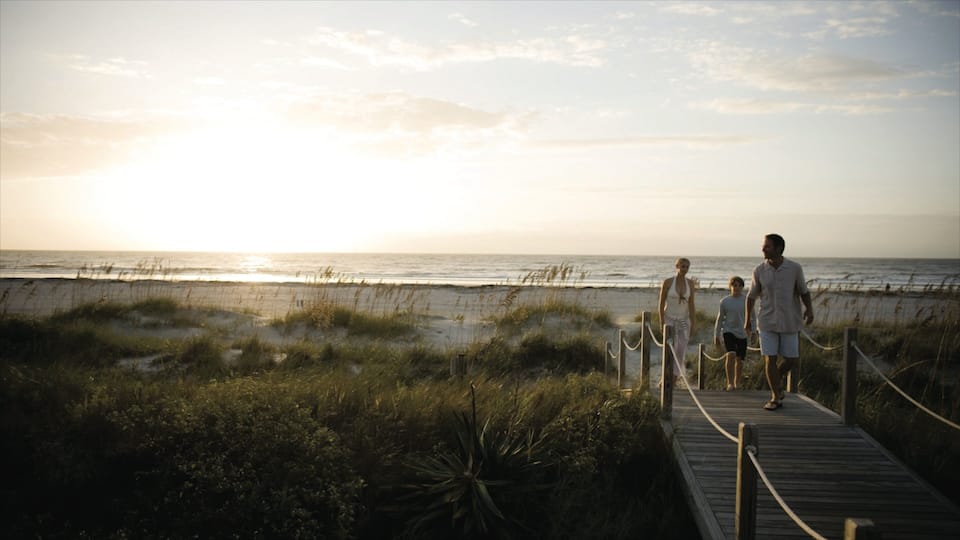 A wooden boardwalk leading to a beach with dunes and grasses.