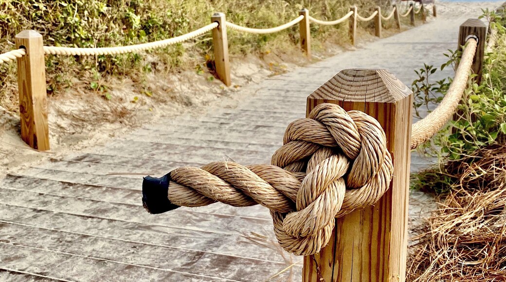 Pathway to the beach. 😎