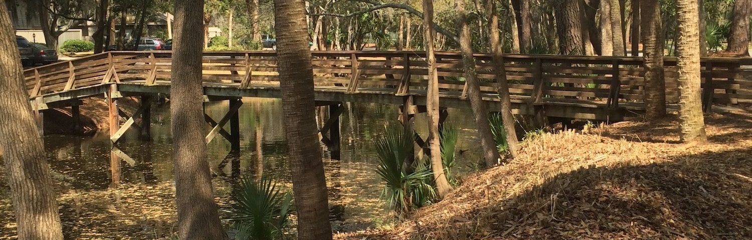 If you rent bikes for the day from Bicycle Billy's at Coligny Circle you can ride them through the entire island- and be sure not to miss the Spanish moss and alligators lining the paths.