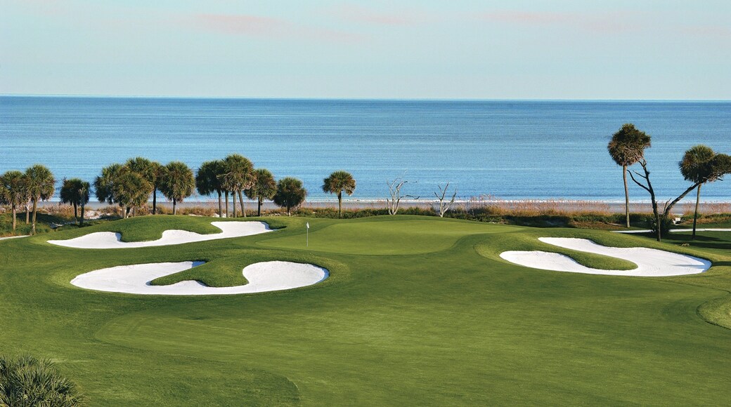 Hilton Head featuring general coastal views