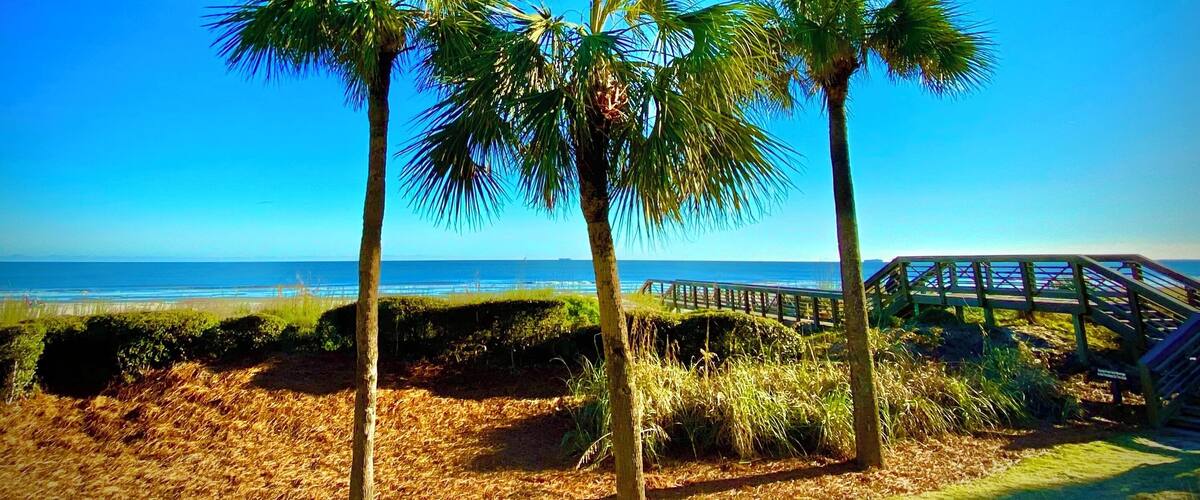 Three palmettos.