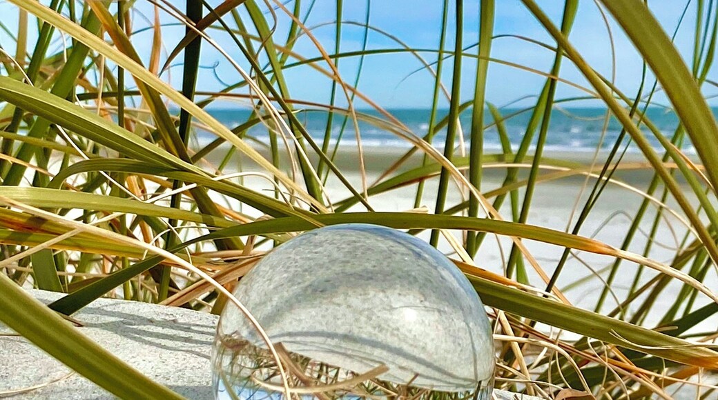 Crystal ball in the dune.
