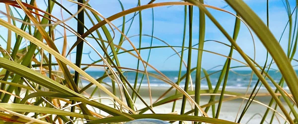 Crystal ball in the dune.