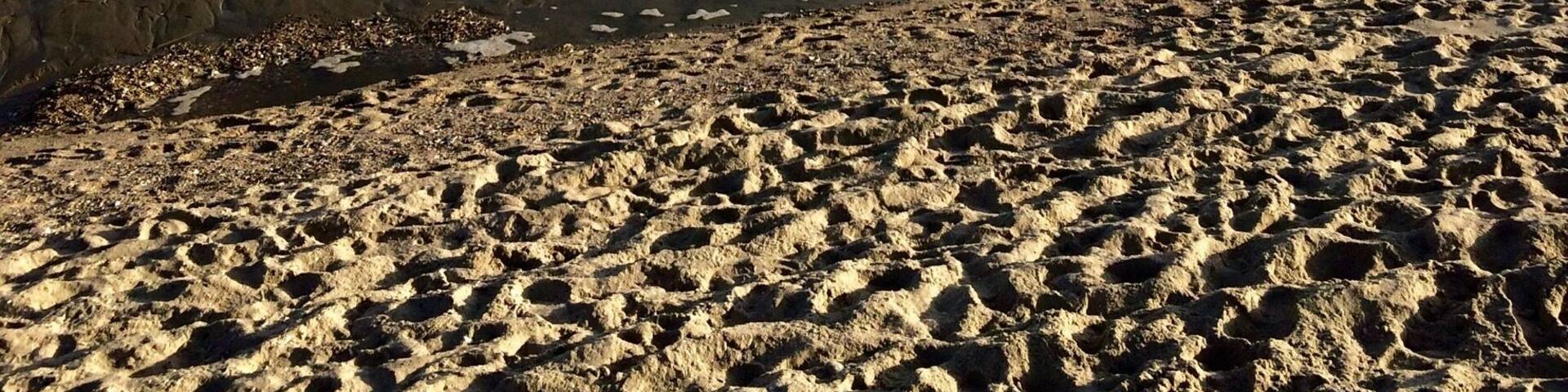 The remnants of the springmaid pier after hurricane Matthew #BeachBound