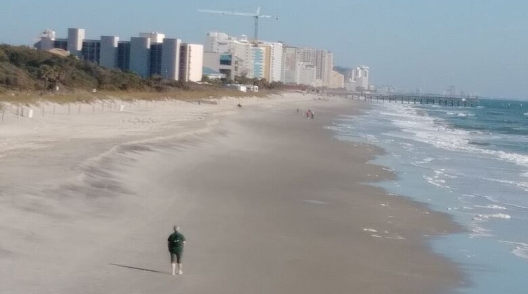 Myrtle State Park Beach