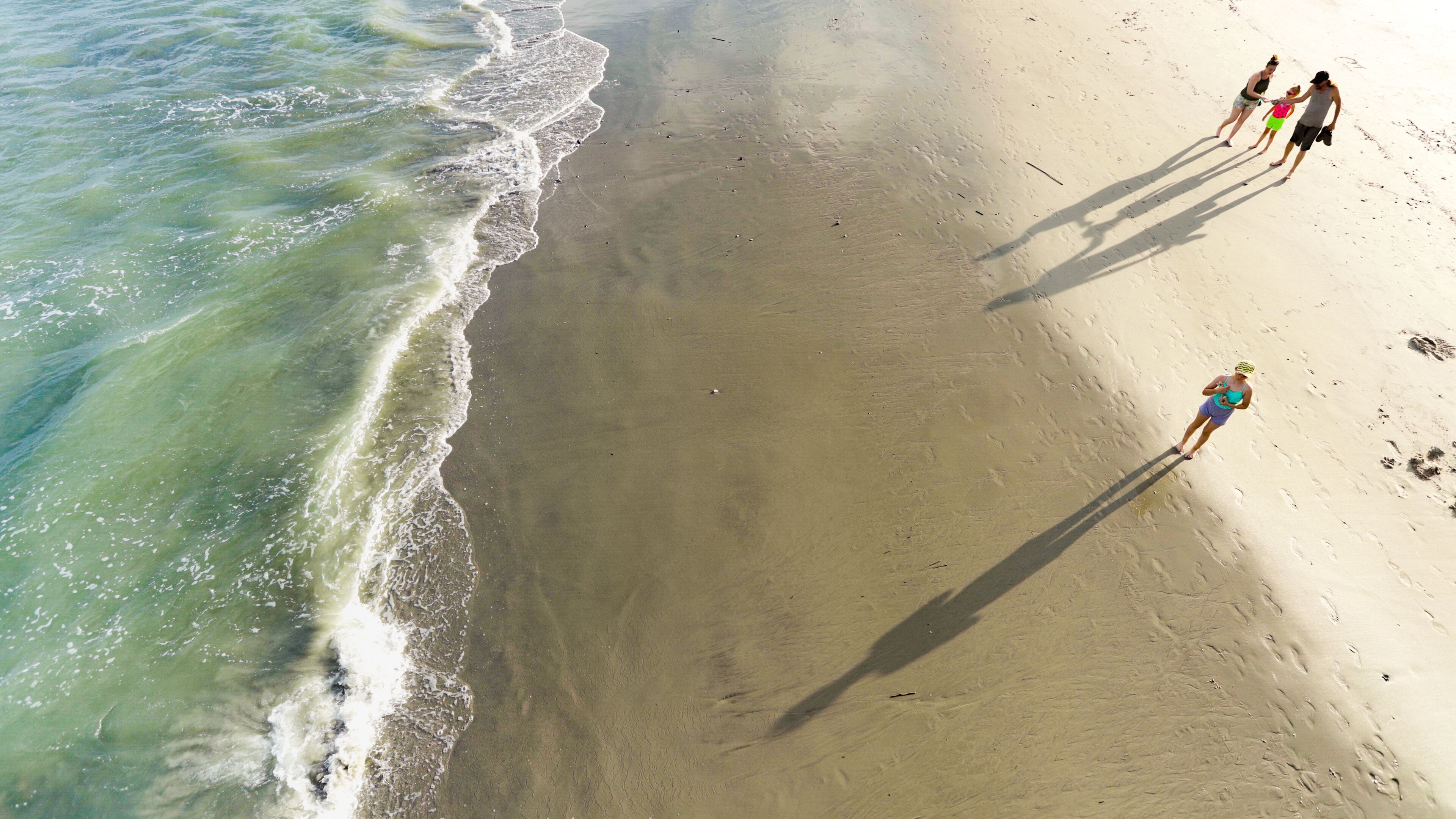 Myrtle Beach which includes a beach and general coastal views as well as a family