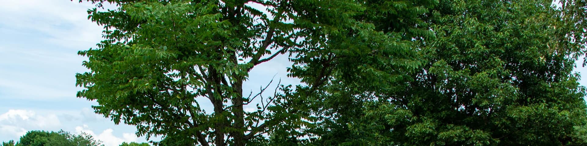 015-park_landscape-ankeny-30jul20-08x12-008-400-7441