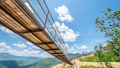 Un puente colgante con una vista despejada del paisaje montañoso circundante.