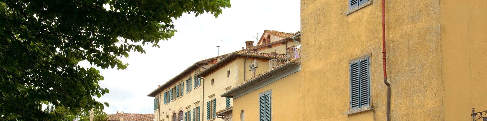 Radda in Chianti featuring street scenes, heritage architecture and a small town or village