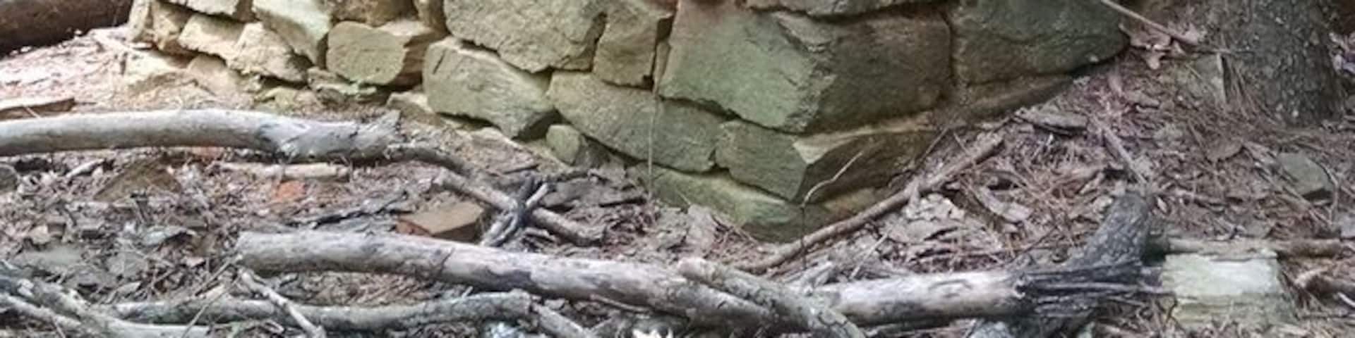 Last of an old homestead