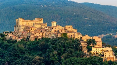 A historic town with a prominent castle atop a hill, surrounded by lush greenery and traditional buildings.