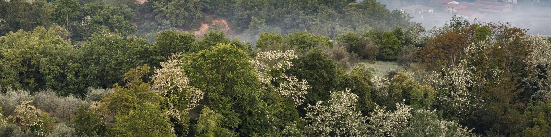 Europe, Italy, Tuscany, Arezzo. The characteristic landscape of the Balze seen from Piantravigne, Valdarno