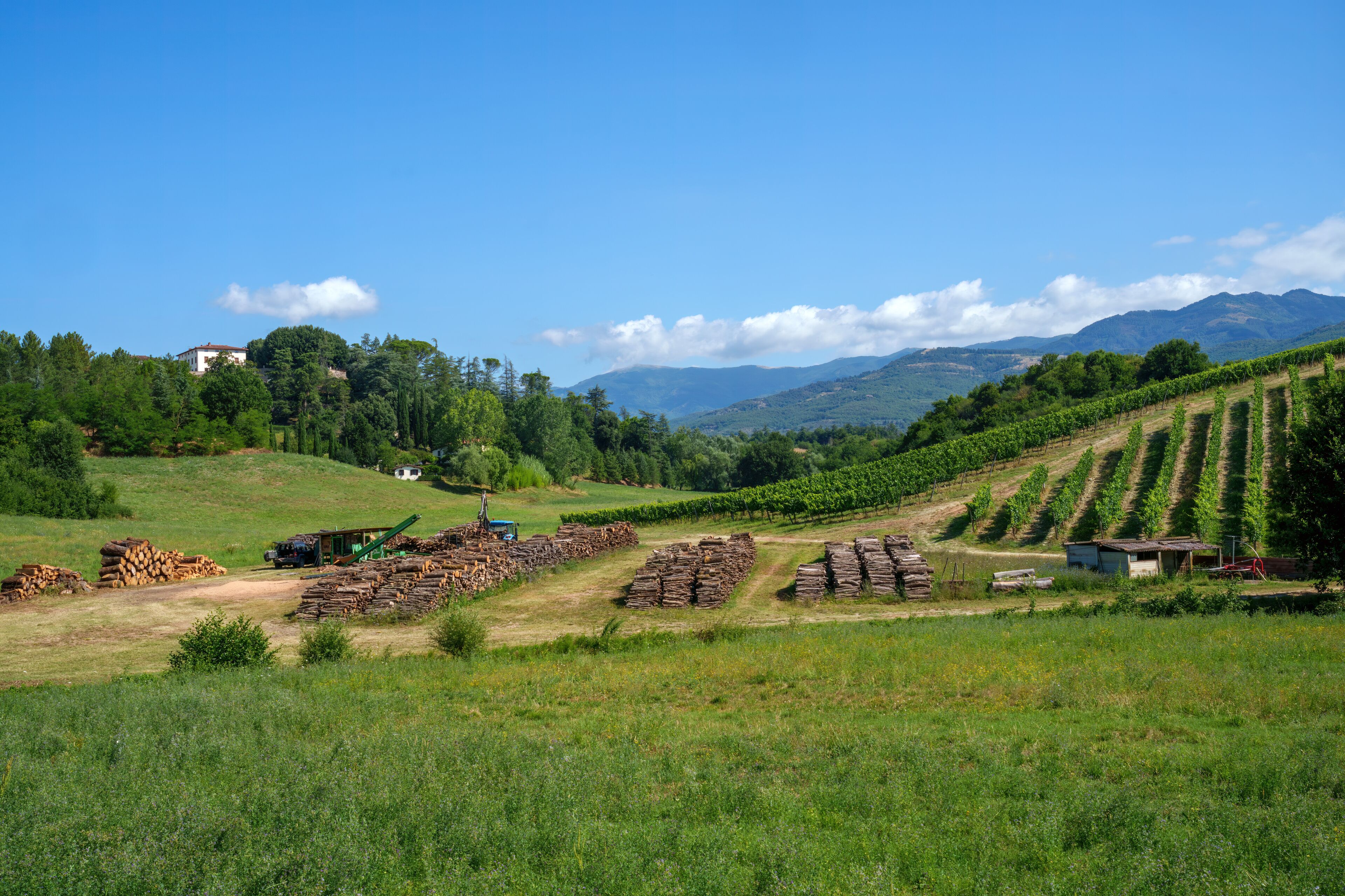 Rural landscape near Terranuova Bracciolini Tuscany