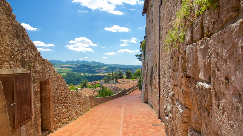 A narrow cobblestone street flanked by stone buildings, leading to a view of a valley with houses and mountains under a clear sky.