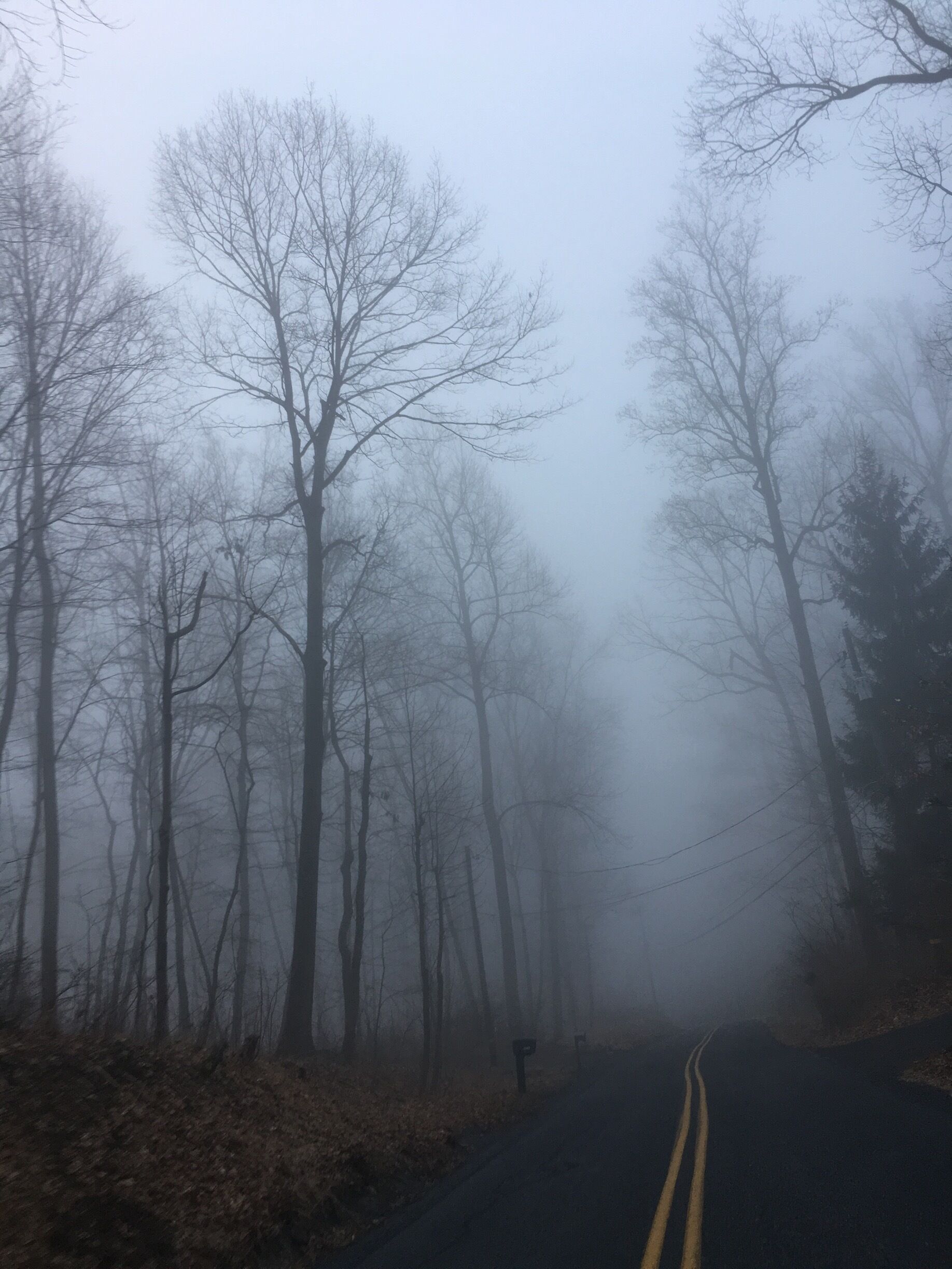 Love foggy mornings 
#pennsylvaniamornings