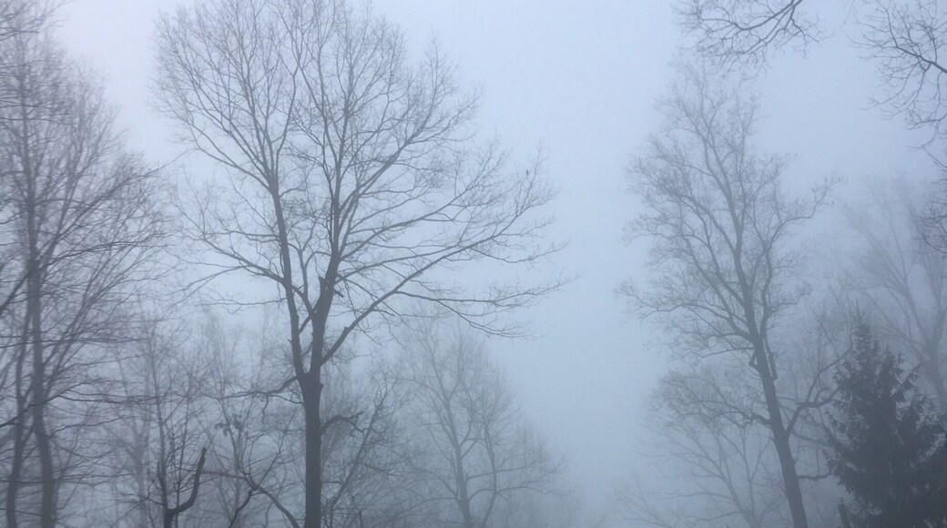 Love foggy mornings
#pennsylvaniamornings