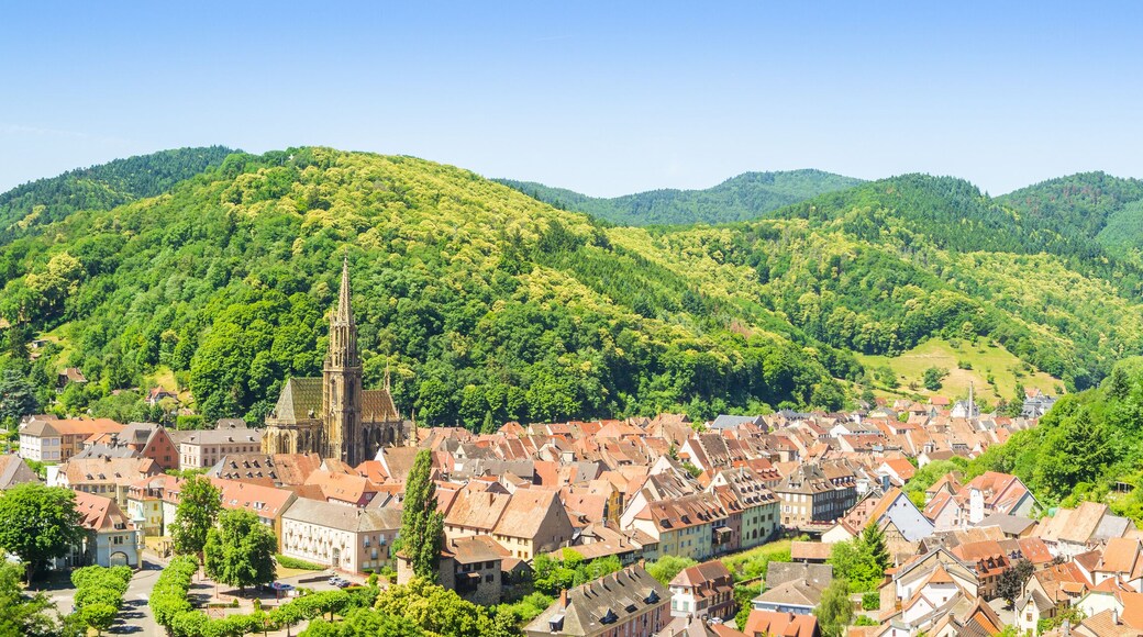 Panorama of Thann, France