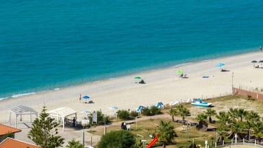 Aerial view of a wide sandy beach meeting a bright turquoise sea. Scattered colorful umbrellas and small white structures dot the shoreline. It is Zambrone beach, near Tropea, in Calabria, Italy.
