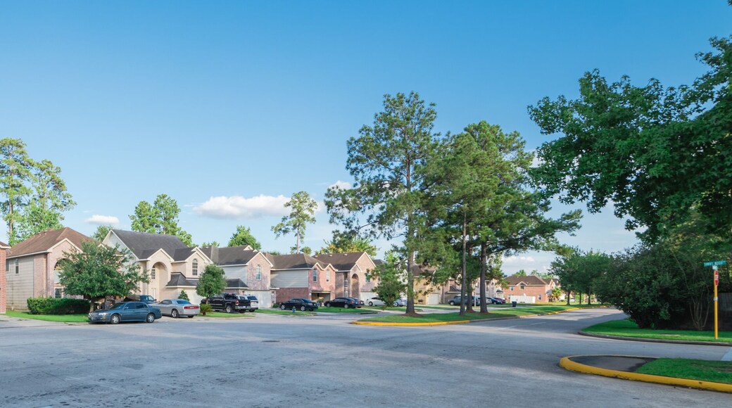Suburban residential area, row of modern townhomes in Humble, Texas, US. Red brick houses surrounded with tall pine trees, cloud blue sky. Panorama view street intersection and multi-story townhouses.