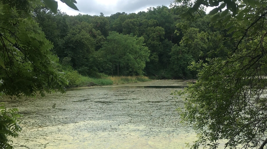 Easy hike to get to Turtle Lake in Stone State Park #hiking