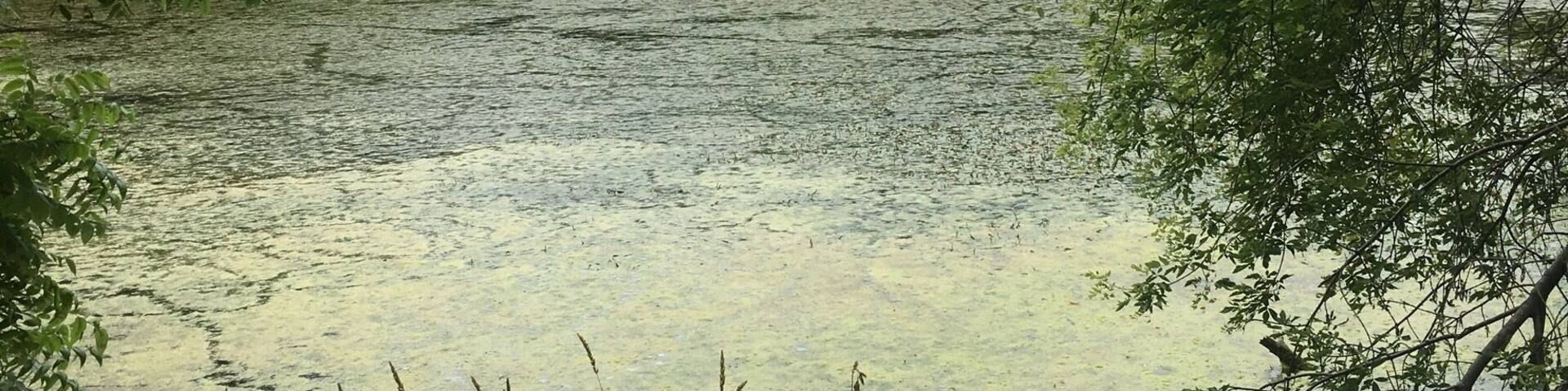 Easy hike to get to Turtle Lake in Stone State Park #hiking