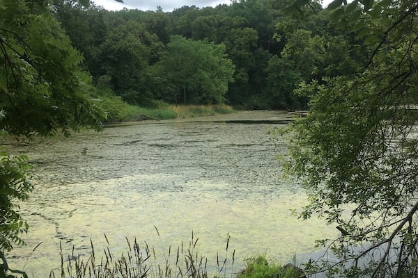 Easy hike to get to Turtle Lake in Stone State Park #hiking
