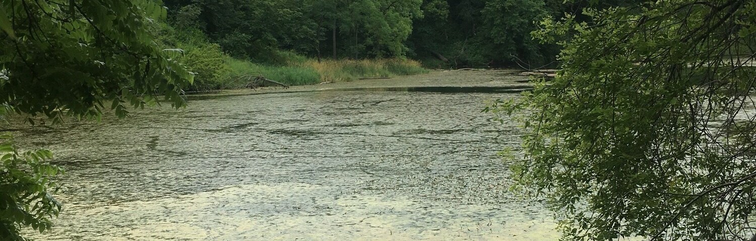 Easy hike to get to Turtle Lake in Stone State Park #hiking