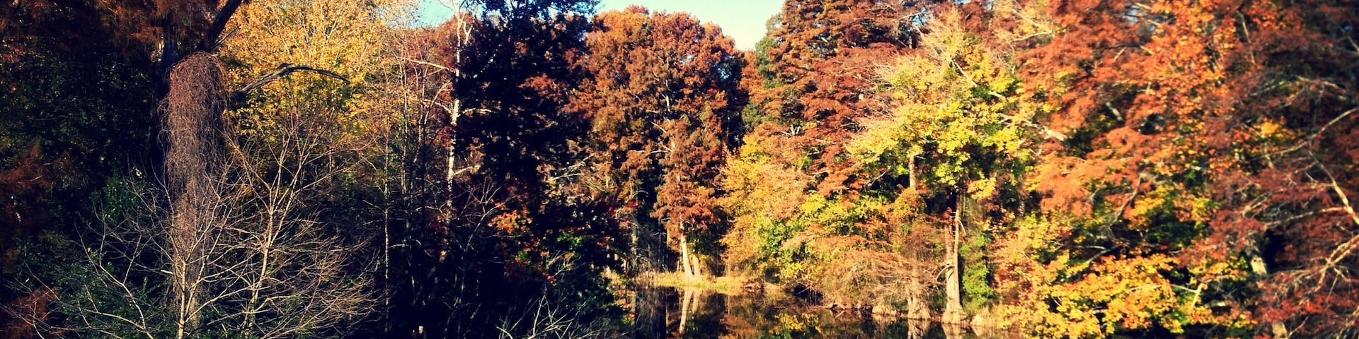 Along the Tar River, beginning at Sunset Park, is the river walk. It's beautiful on a cool, Fall day.