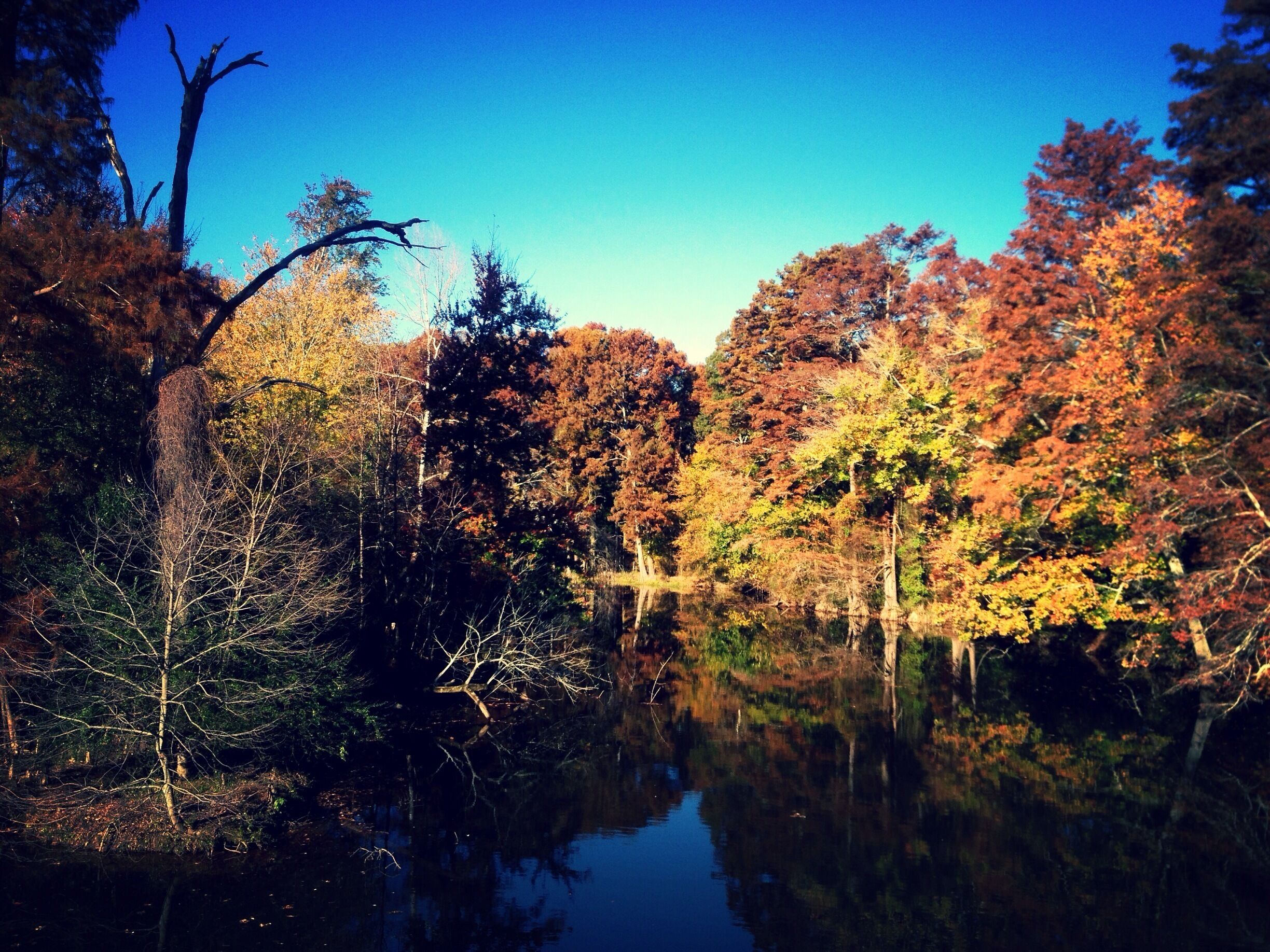 A calm lake surrounded by autumn-colored trees.