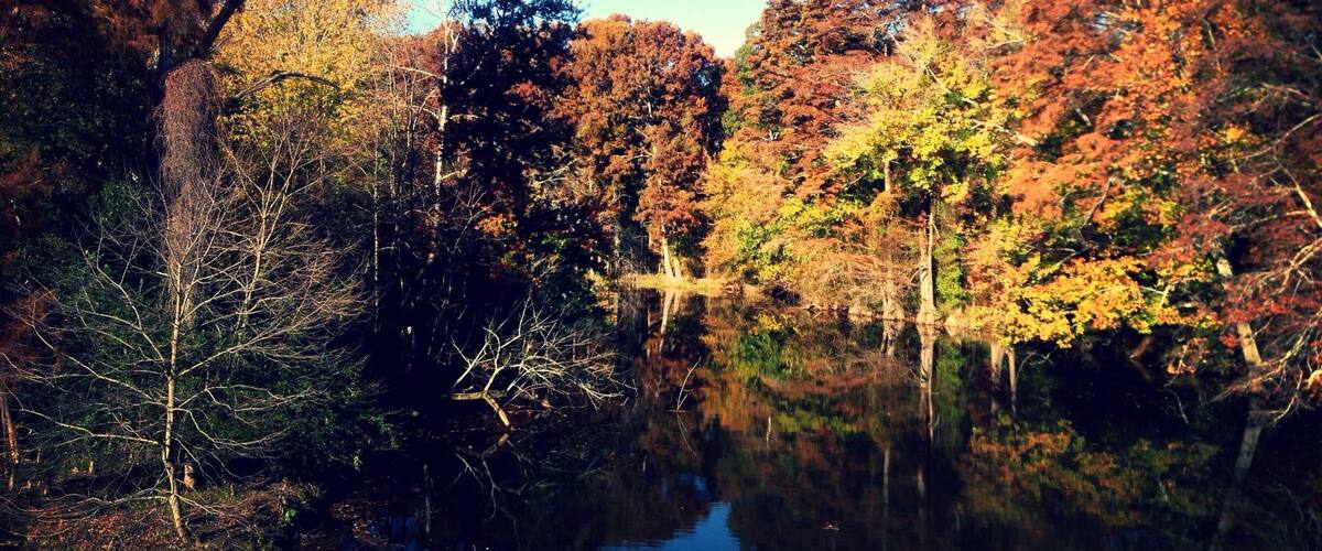 A calm lake surrounded by autumn-colored trees.