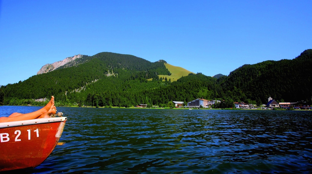 Spitzingsee featuring forest scenes, boating and a lake or waterhole