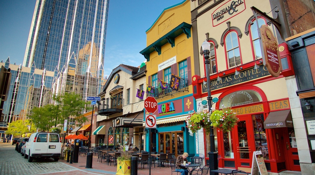 Pittsburgh which includes a high rise building and a city